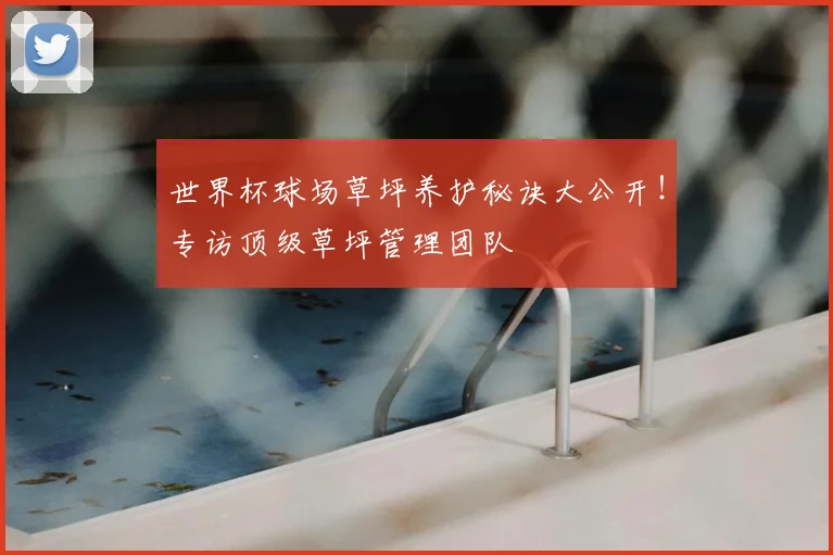 世界杯球场草坪养护秘诀大公开!专访顶级草坪管理团队
