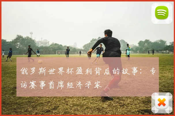 俄罗斯世界杯盈利背后的故事:专访赛事首席经济学家