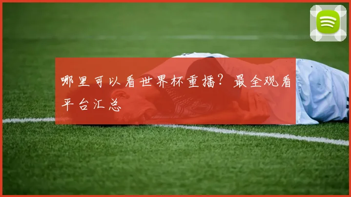 哪里可以看世界杯重播？最全观看平台汇总
