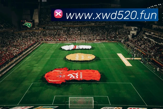 半岛在线体育发展历程